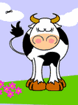 pic for cow