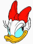 pic for daisy