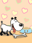 pic for dog