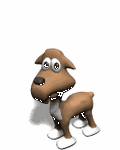 pic for dog
