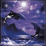pic for dolphin