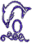 pic for dolphin