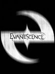 pic for evanescence