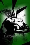 pic for evergreen