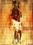pic for fabregas