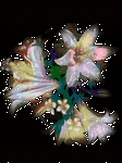 pic for flower