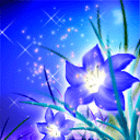 pic for flower