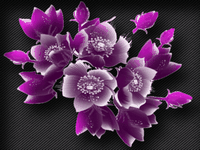 pic for flowers