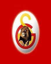 pic for galatasaray3
