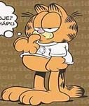 pic for garfield