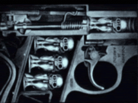 pic for gun