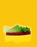 pic for hamburger