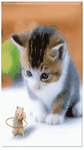 pic for hamster
