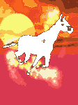 pic for horse