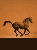 pic for horse