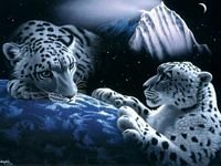 pic for jaguars