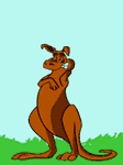 pic for kangaroo