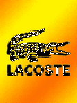 pic for lacoste