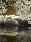 pic for lake