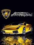 pic for lamborghini