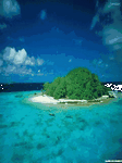 pic for landscape