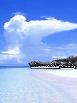 pic for landscape