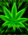 pic for leaf