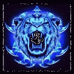 pic for lion
