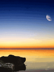pic for moonlight