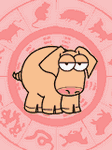 pic for pig