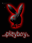 pic for playboy