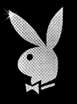 pic for playboy