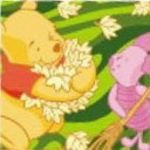 pic for pooh