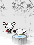 pic for pucca