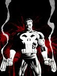 pic for punisher
