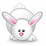 pic for rabbit