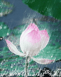 pic for raining