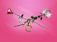 pic for rose