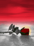 pic for rose