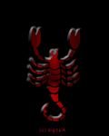 pic for scorpion