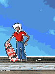 pic for skate