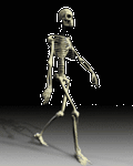 pic for skeleton