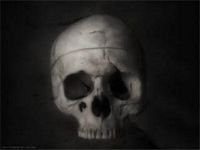 pic for skull