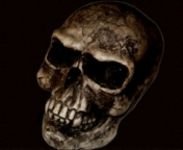 pic for skull