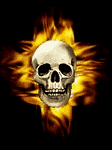 pic for skull