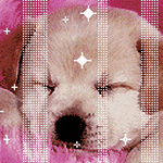 pic for sleeping