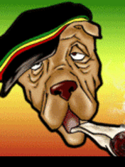 pic for smoking