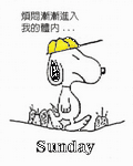 pic for snoopy