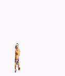 pic for somersault