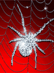 pic for spider